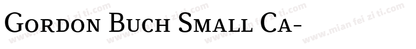 Gordon Buch Small Ca字体转换